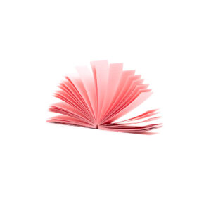 Blazy Susan Tips Perforated